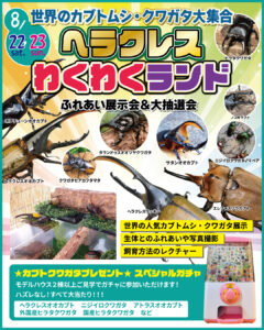 ヘラクレスわくわくランド（世界のカブクワ大集合）
